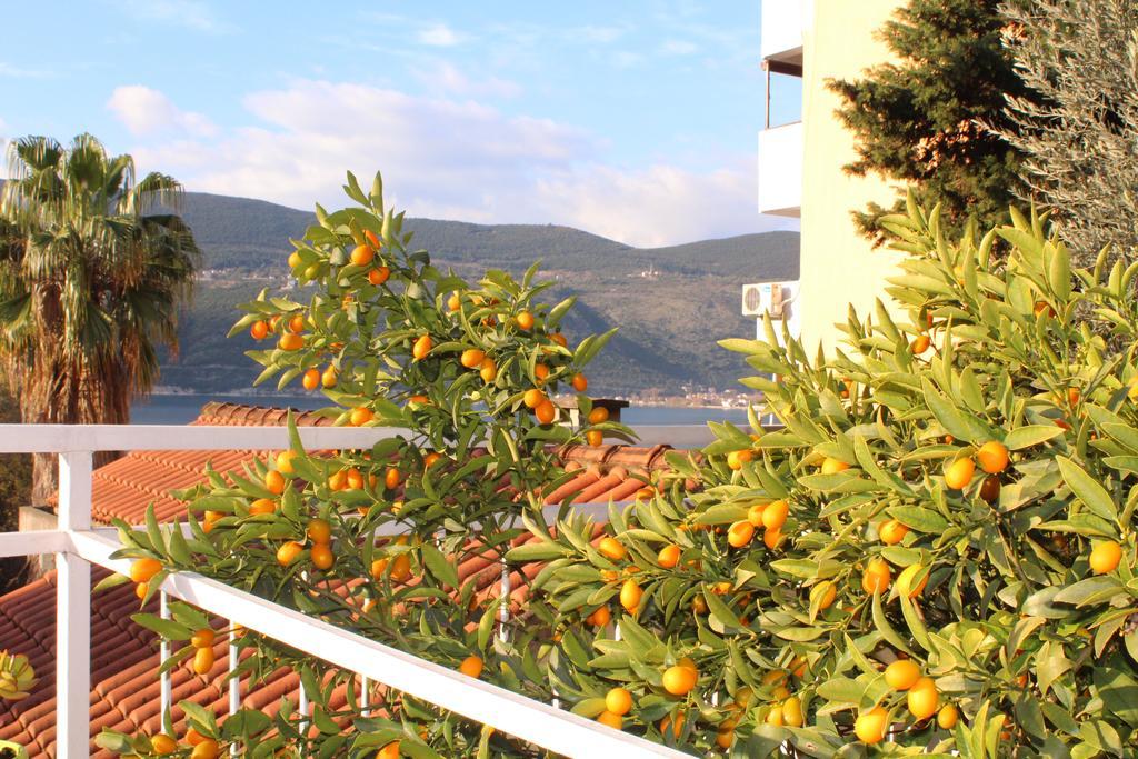 Guest House Tomanovic Herceg Novi Extérieur photo